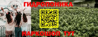 метамфетамин Гатчина