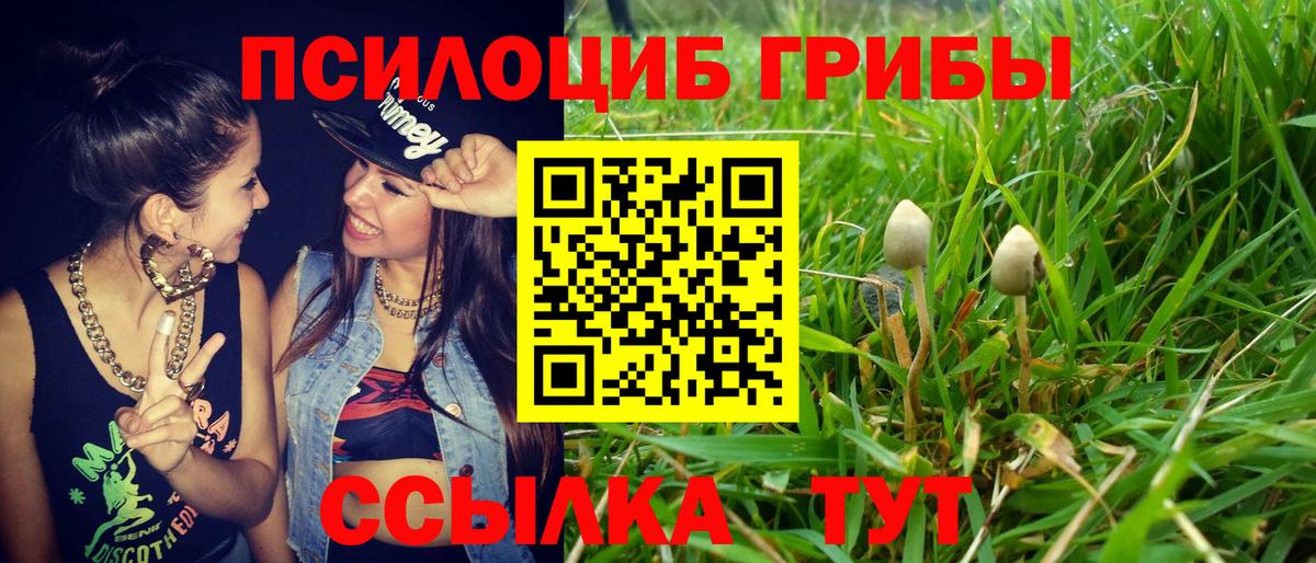 Псилоцибиновые грибы прущие грибы Норильск